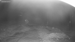 Sjezdovka K Snowparku