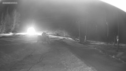 Sjezdovka K Snowparku