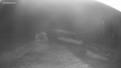 Sjezdovka K Snowparku