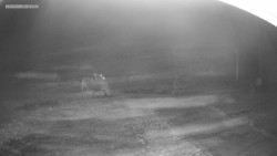 Sjezdovka K Snowparku