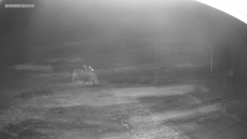 Skiareál Kouty nad Desnou