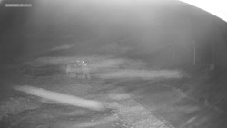 Sjezdovka K Snowparku