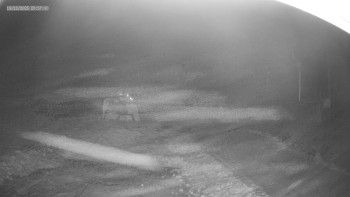 Skiareál Kouty nad Desnou