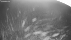 Sjezdovka K Snowparku