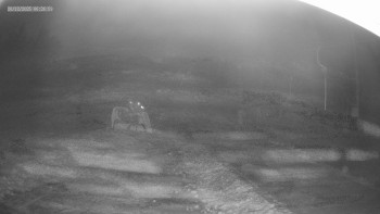 Skiareál Kouty nad Desnou