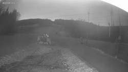 Sjezdovka K Snowparku