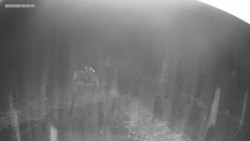 Sjezdovka K Snowparku