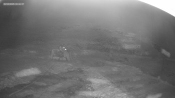 Skiareál Kouty nad Desnou