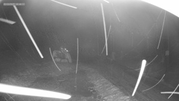 Skiareál Kouty nad Desnou