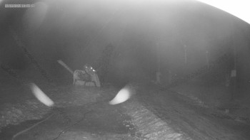 Skiareál Kouty nad Desnou