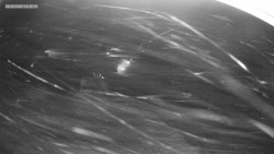 Sjezdovka K Snowparku