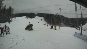 Skiareál Kouty nad Desnou