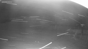 Skiareál Kouty nad Desnou - Sjezdovka K Snowparku - 11.1.2026 v 06:45