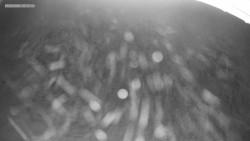 Sjezdovka K Snowparku