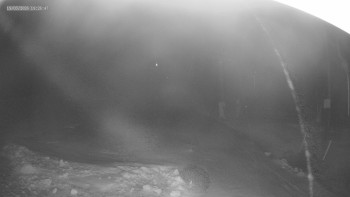 Skiareál Kouty nad Desnou