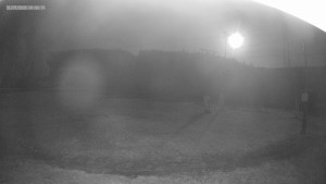 Skigebiet Kouty nad Desnou - Skipiste zum Snowpark - 31.7.2026 v 00:45 Skigebiet Kouty nad Desnou - Skipiste zum Snowpark - 31.7.2026 v 00:45