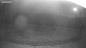 Skigebiet Kouty nad Desnou - Skipiste zum Snowpark - 31.7.2026 v 01:45 Skigebiet Kouty nad Desnou - Skipiste zum Snowpark - 31.7.2026 v 01:45