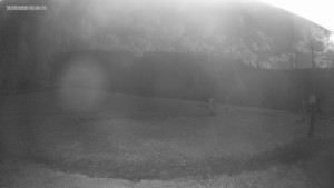 Skigebiet Kouty nad Desnou - Skipiste zum Snowpark - 31.7.2026 v 02:45 Skigebiet Kouty nad Desnou - Skipiste zum Snowpark - 31.7.2026 v 02:45