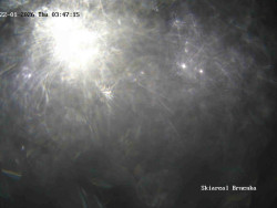 Sjezdovka, Vernířovice