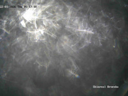 Sjezdovka, Vernířovice