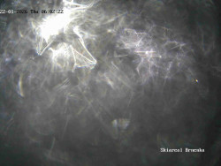 Sjezdovka, Vernířovice