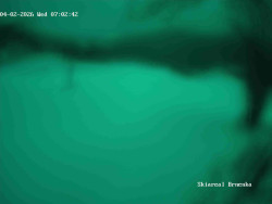 Sjezdovka, Vernířovice