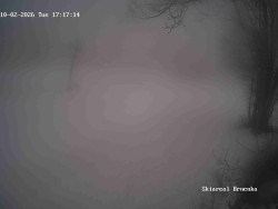 Sjezdovka, Vernířovice