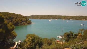 Town of Pula