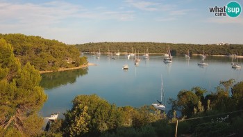 Město Pula