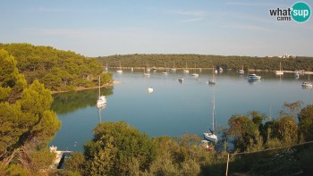 Town of Pula